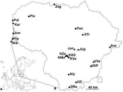 Relating Invasibility and Invasiveness: Case Study of Impatiens parviflora